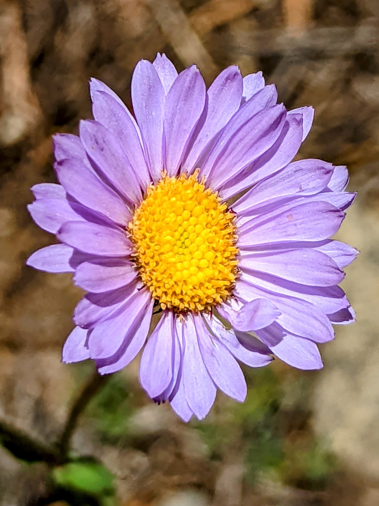 pxl_20220811_2027508862