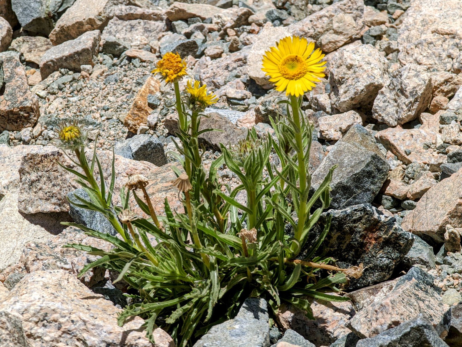 pxl_20220812_2040060882