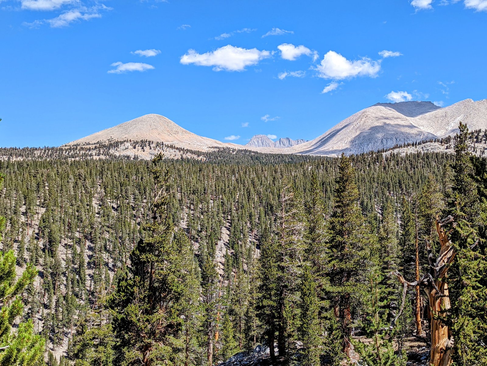 pxl_20220814_1807500202