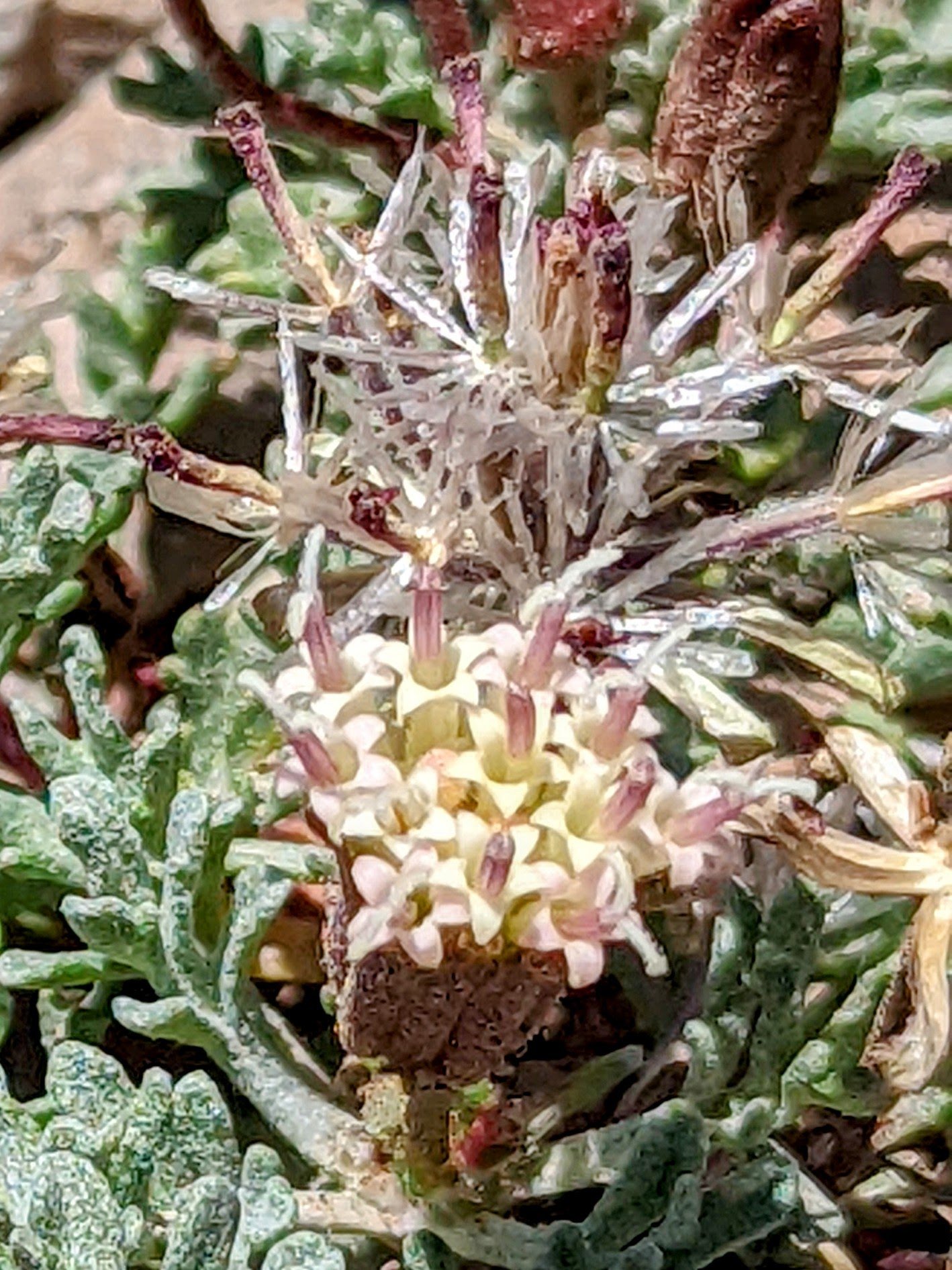 pxl_20220830_1758002572