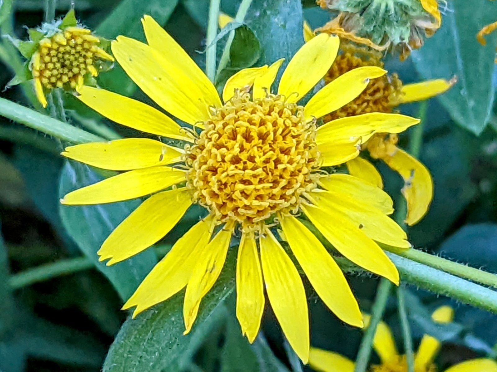 pxl_20220831_1439485812