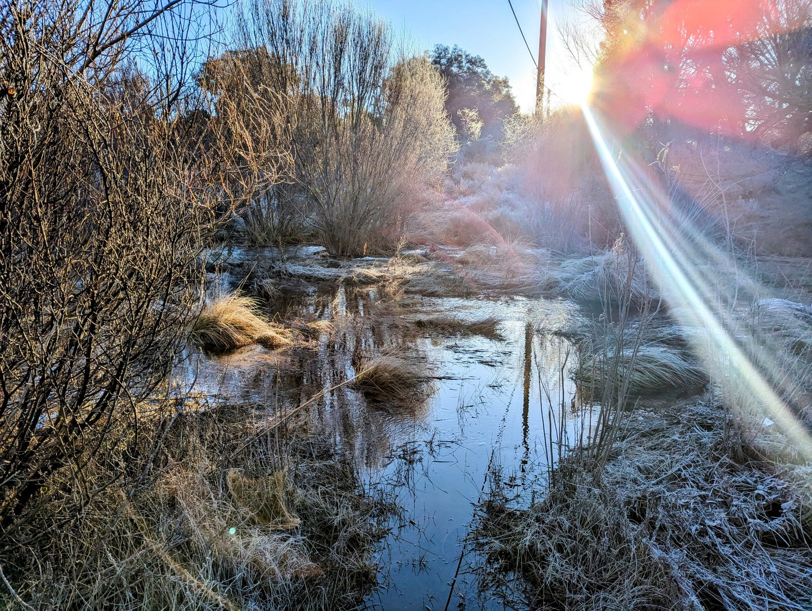 pxl_20230303_1501206872