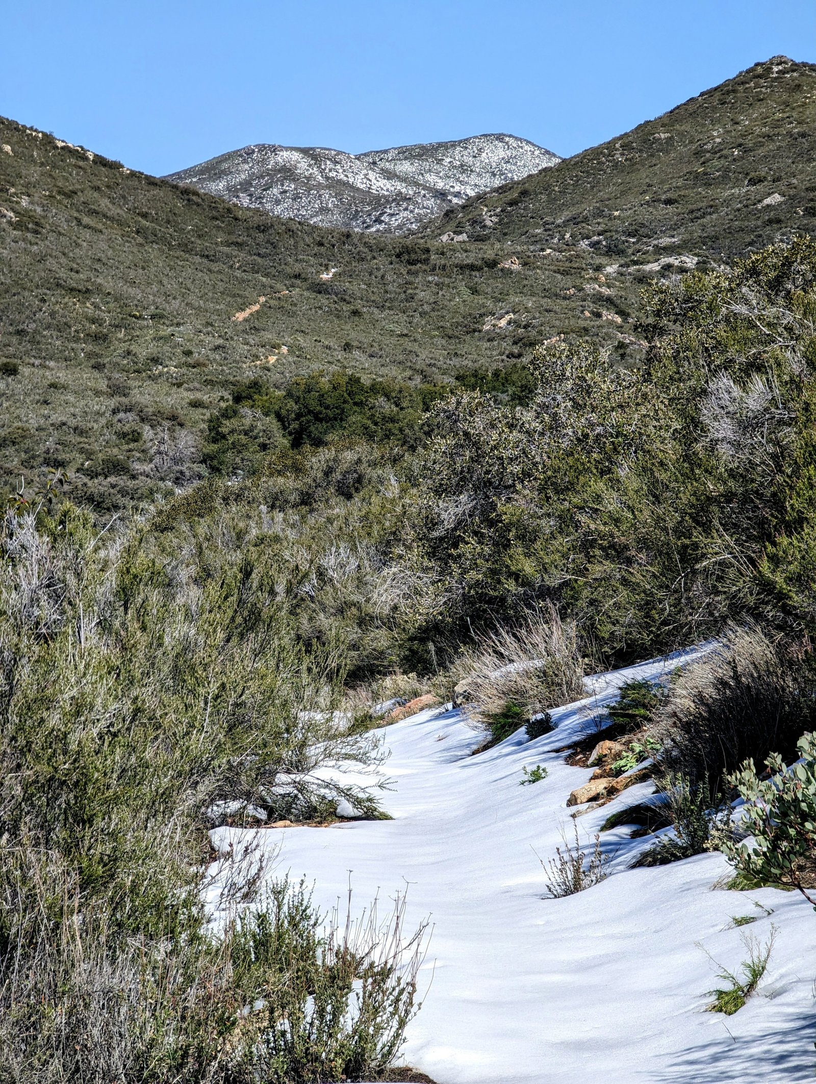 pxl_20230303_1826384992