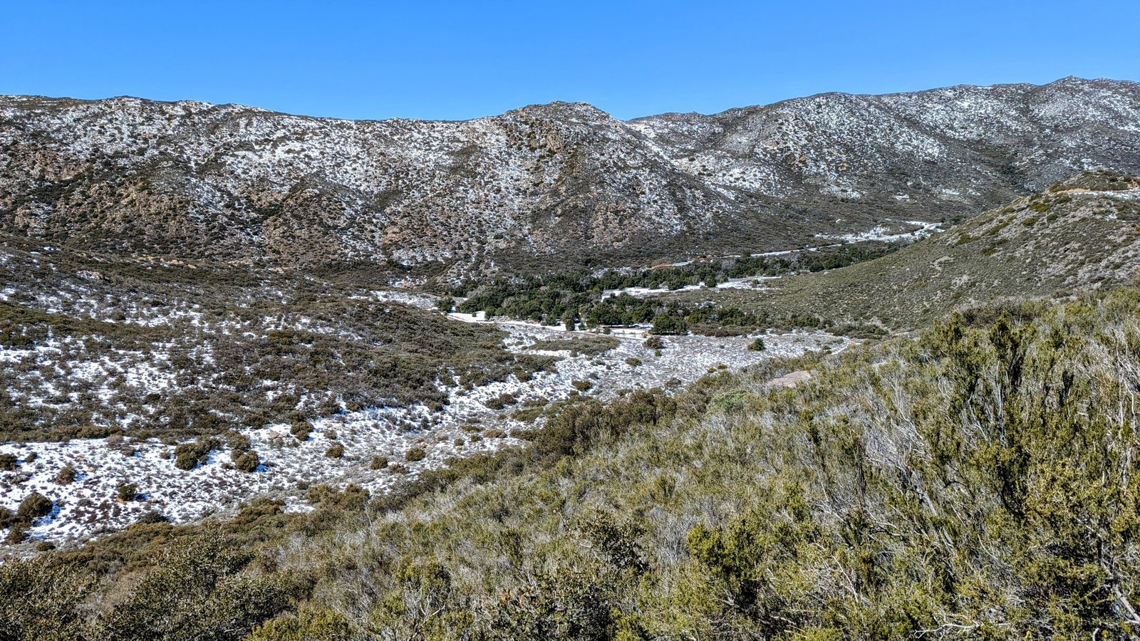 pxl_20230303_1910391292