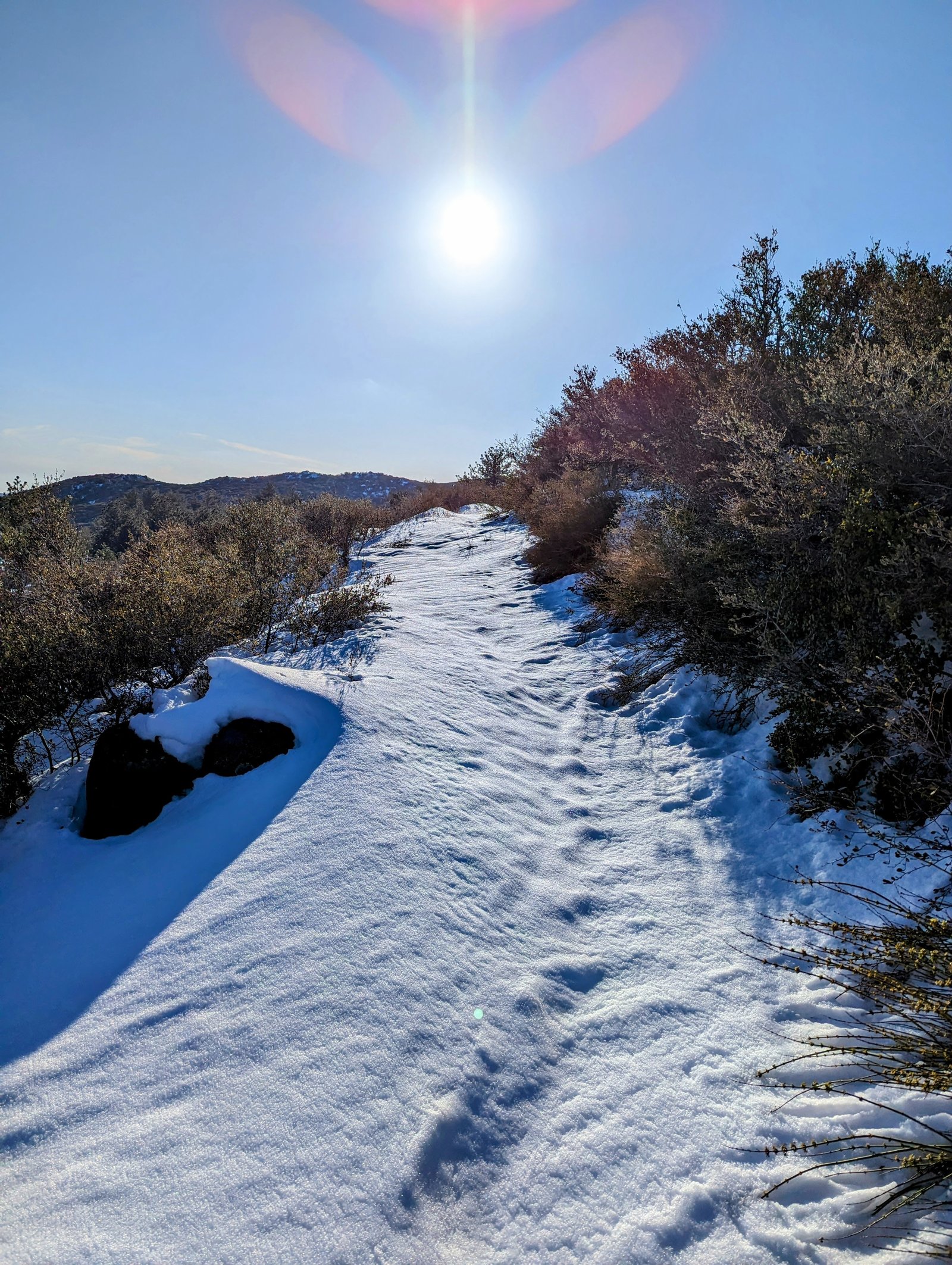 pxl_20230304_0023134132