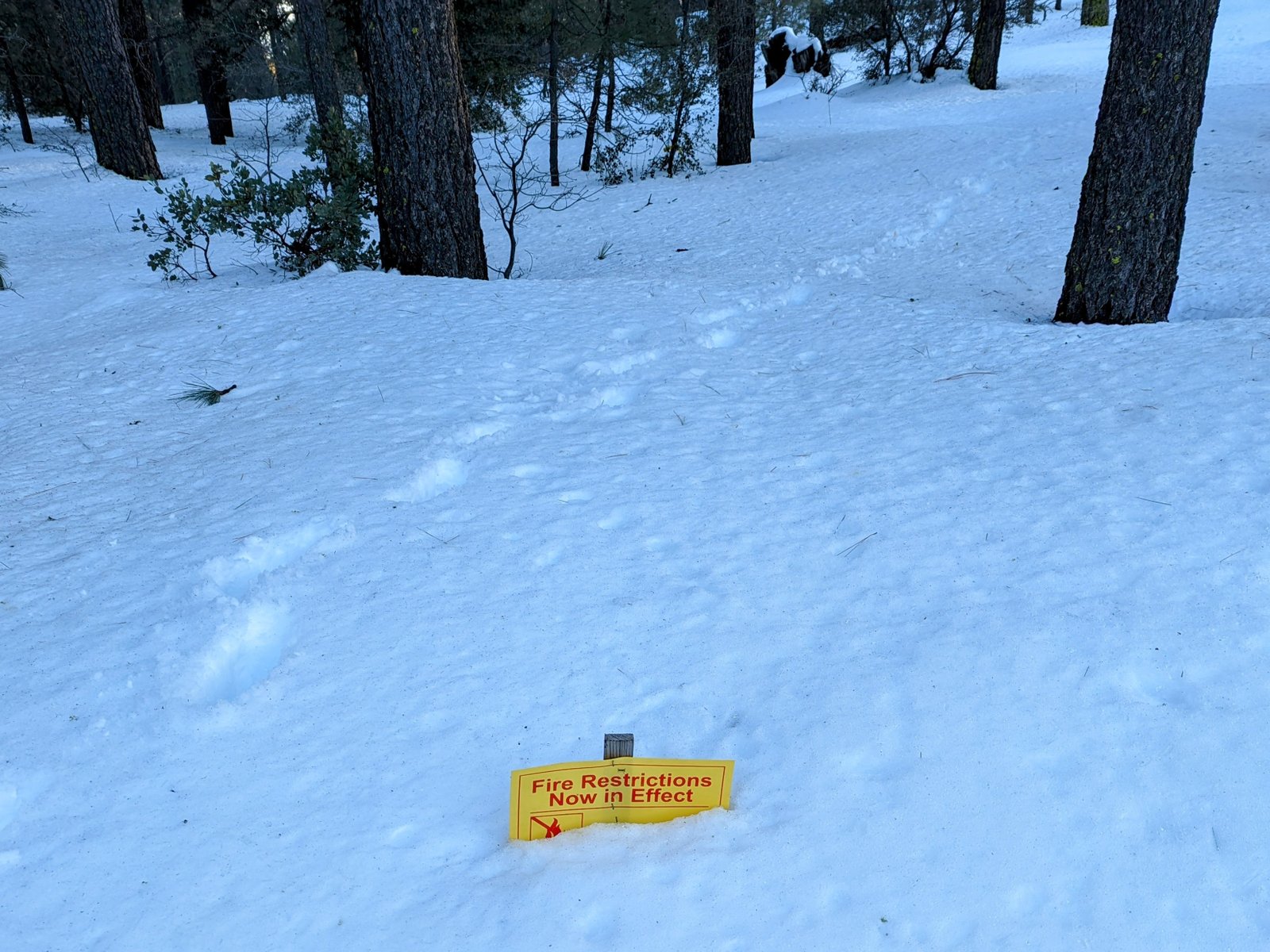 pxl_20230304_0104467452