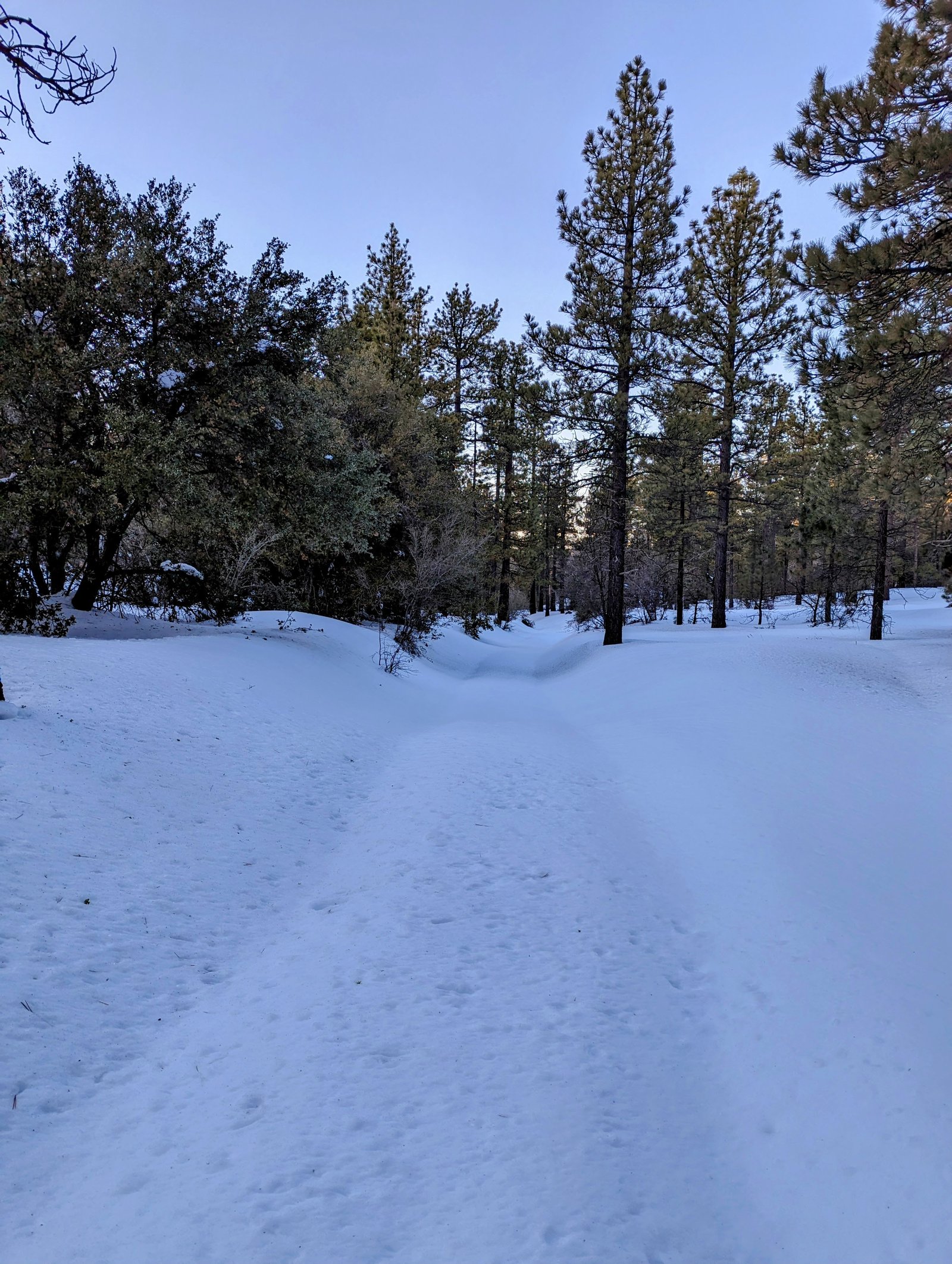 pxl_20230304_0115130982
