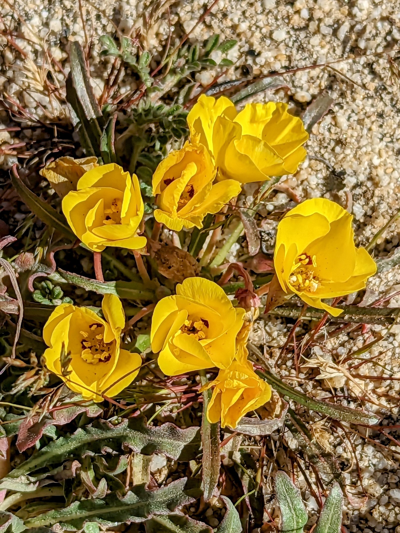 pxl_20230405_1659055712