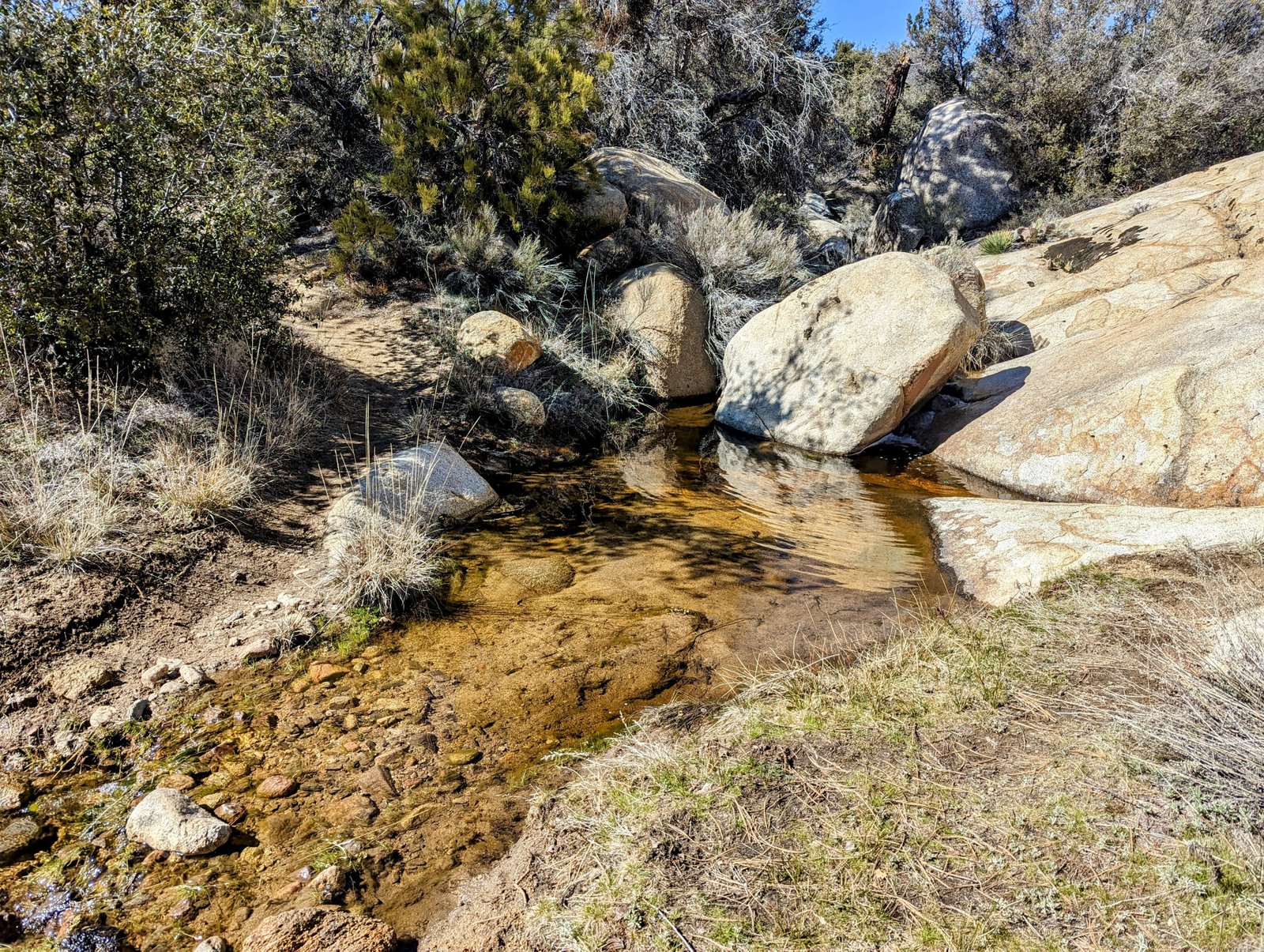pxl_20230405_2245256362