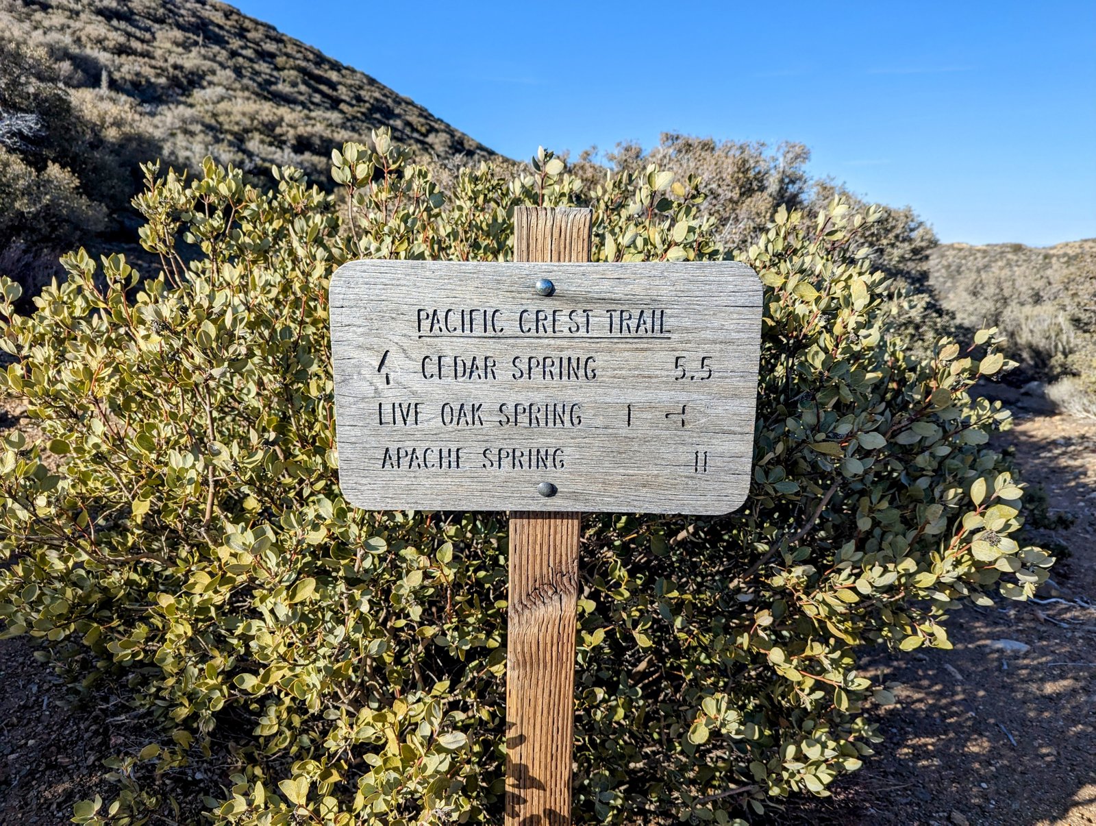 pxl_20230406_0013522142