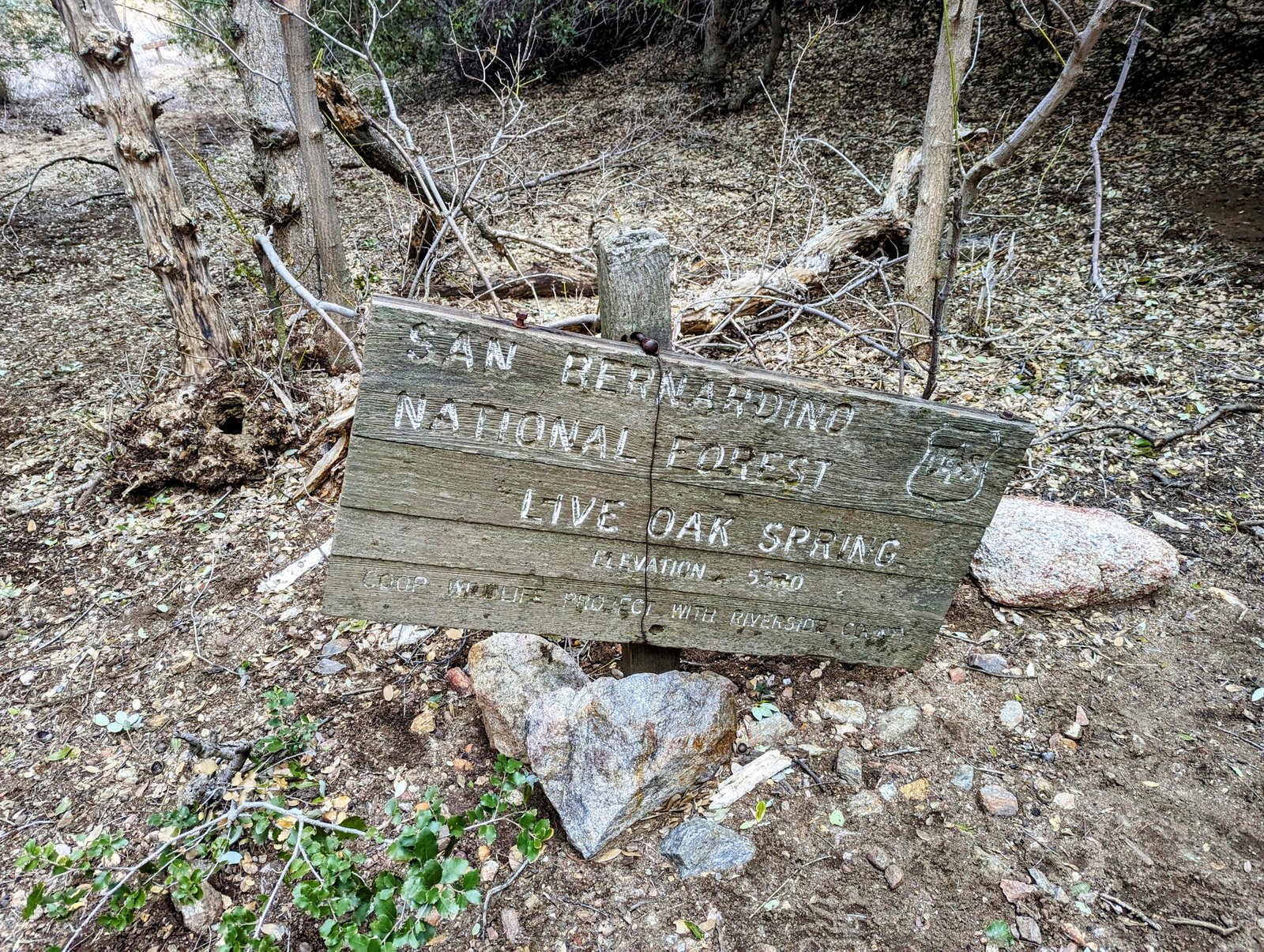 pxl_20230406_0036536342
