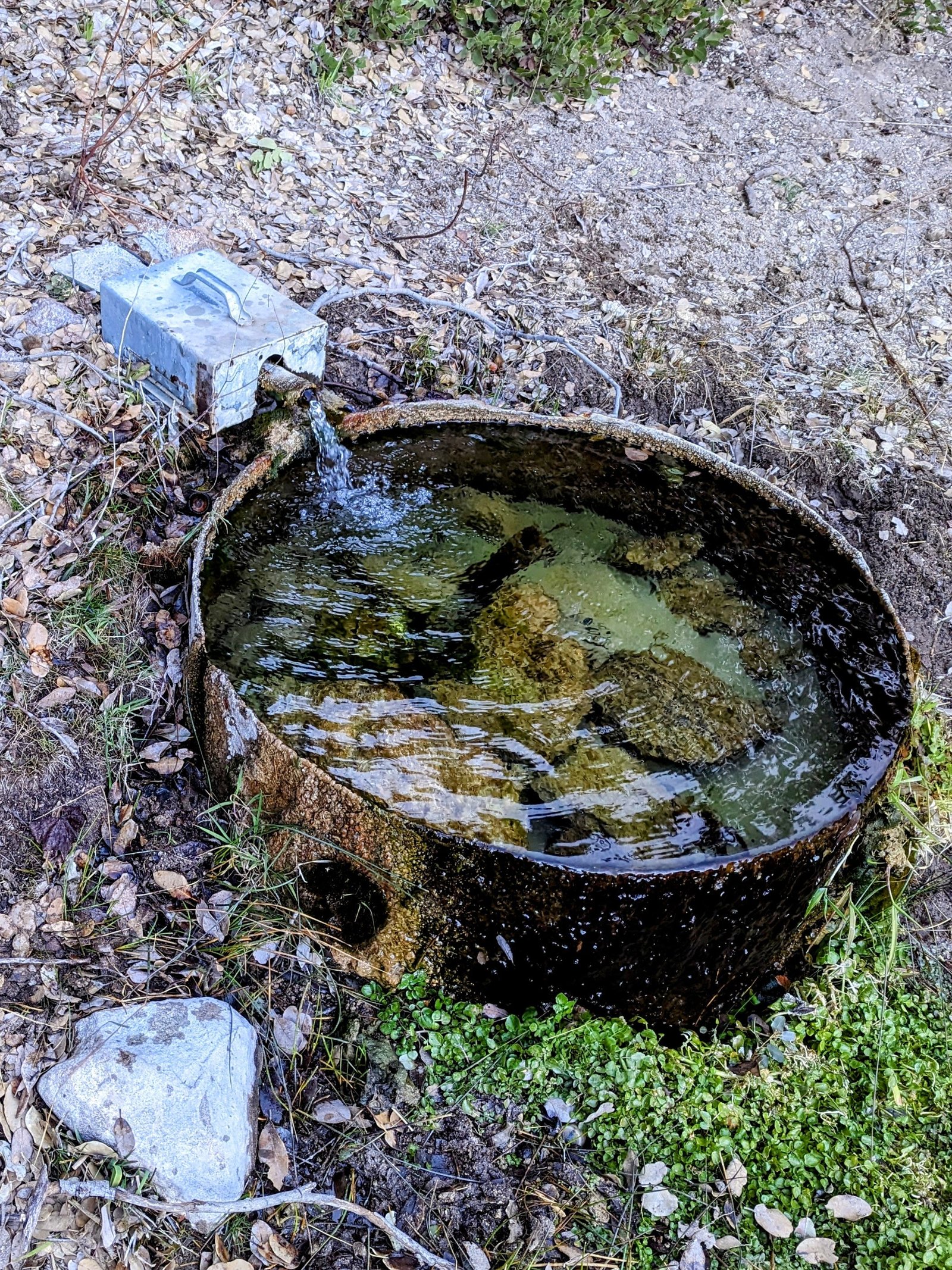pxl_20230406_0042457172