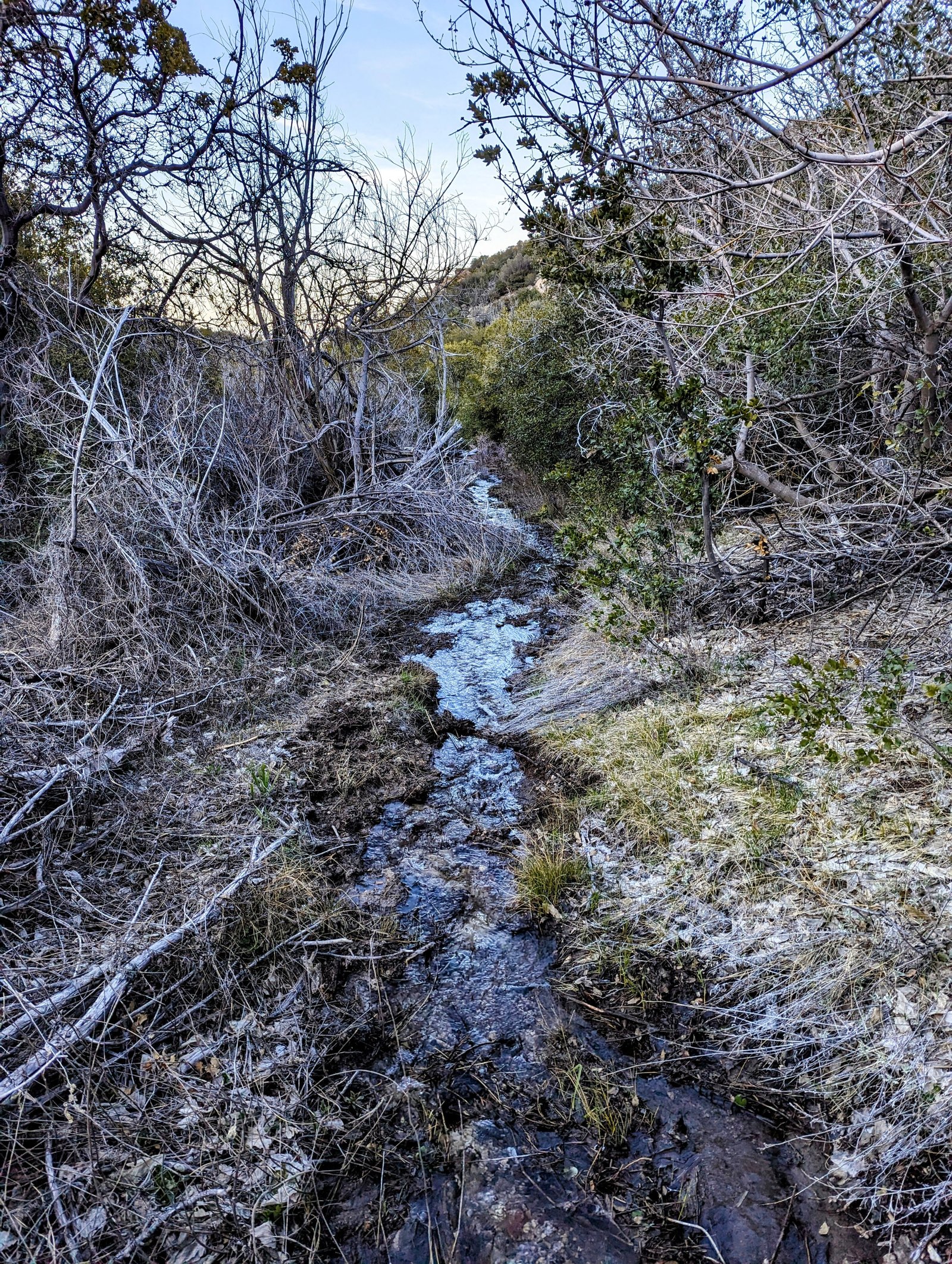 pxl_20230406_0119095872