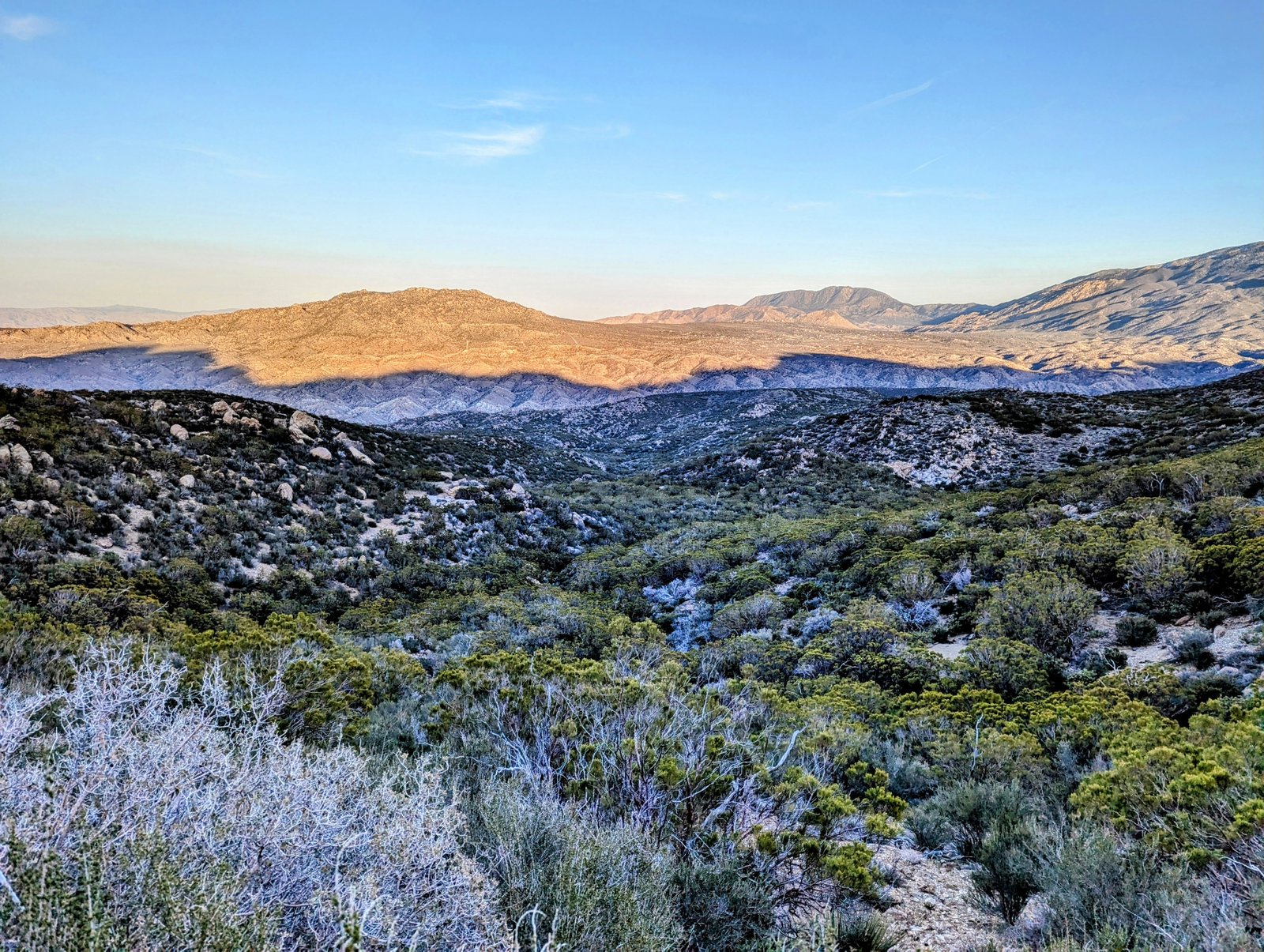 pxl_20230406_0132462633