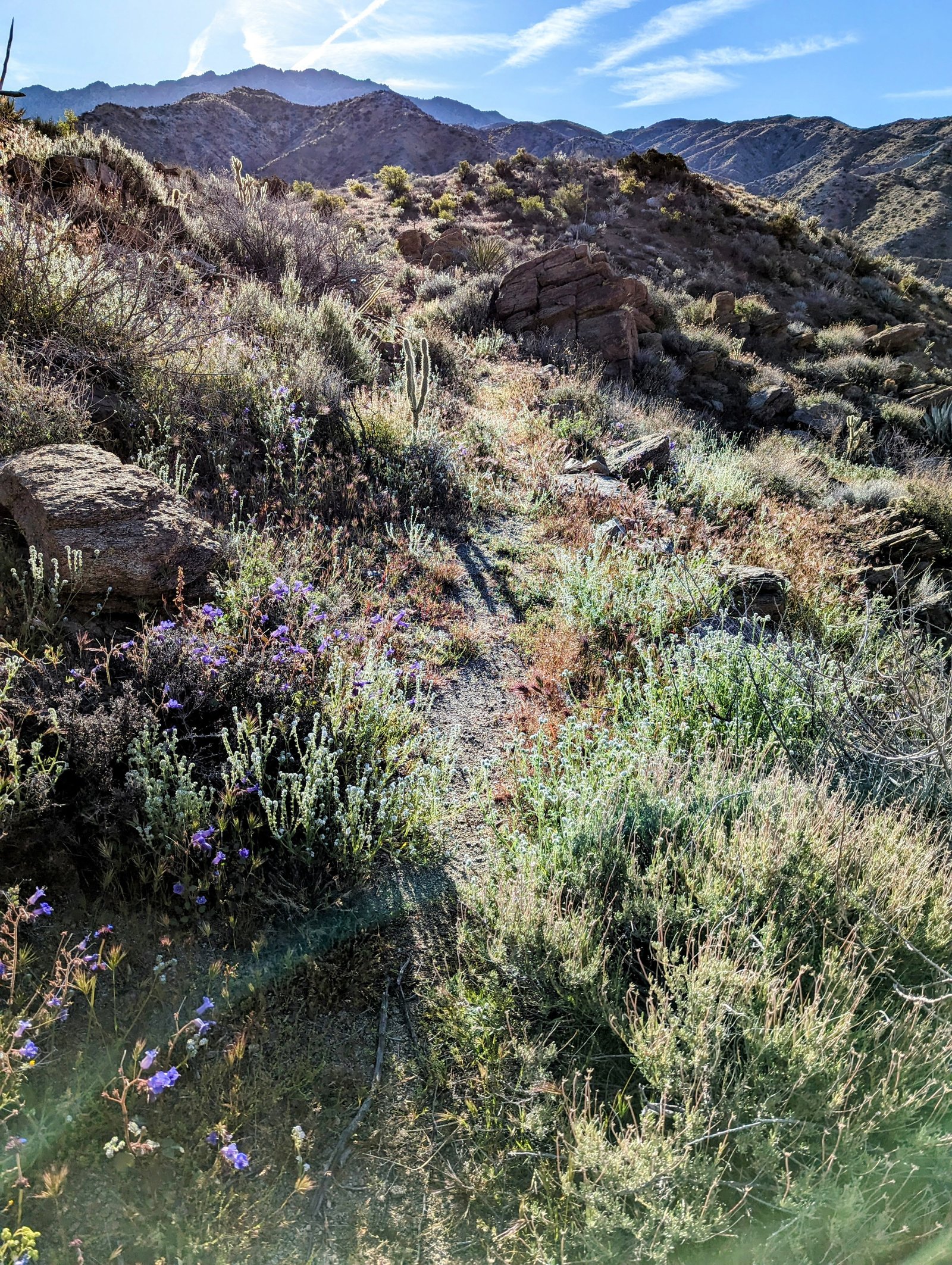 pxl_20230406_1508535842