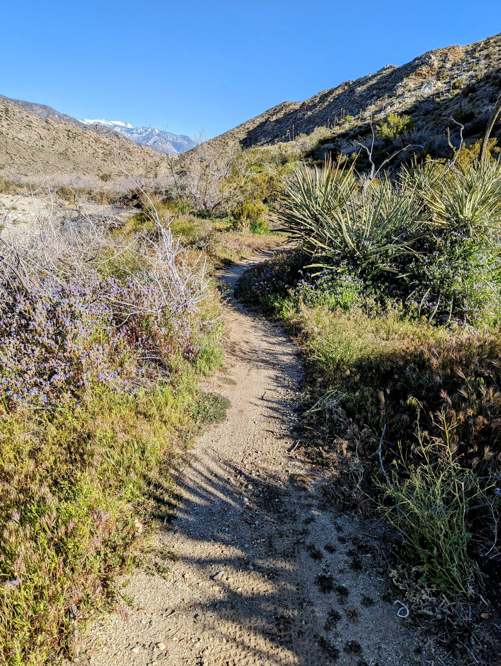 pxl_20230406_1527326622