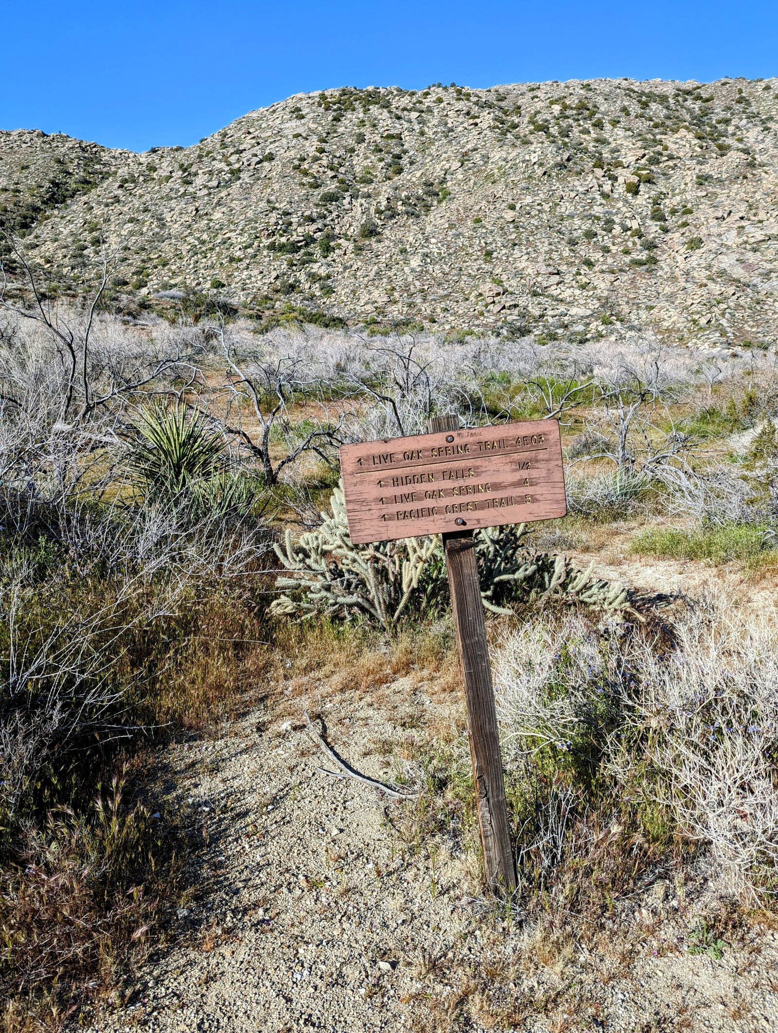 pxl_20230406_1545274112
