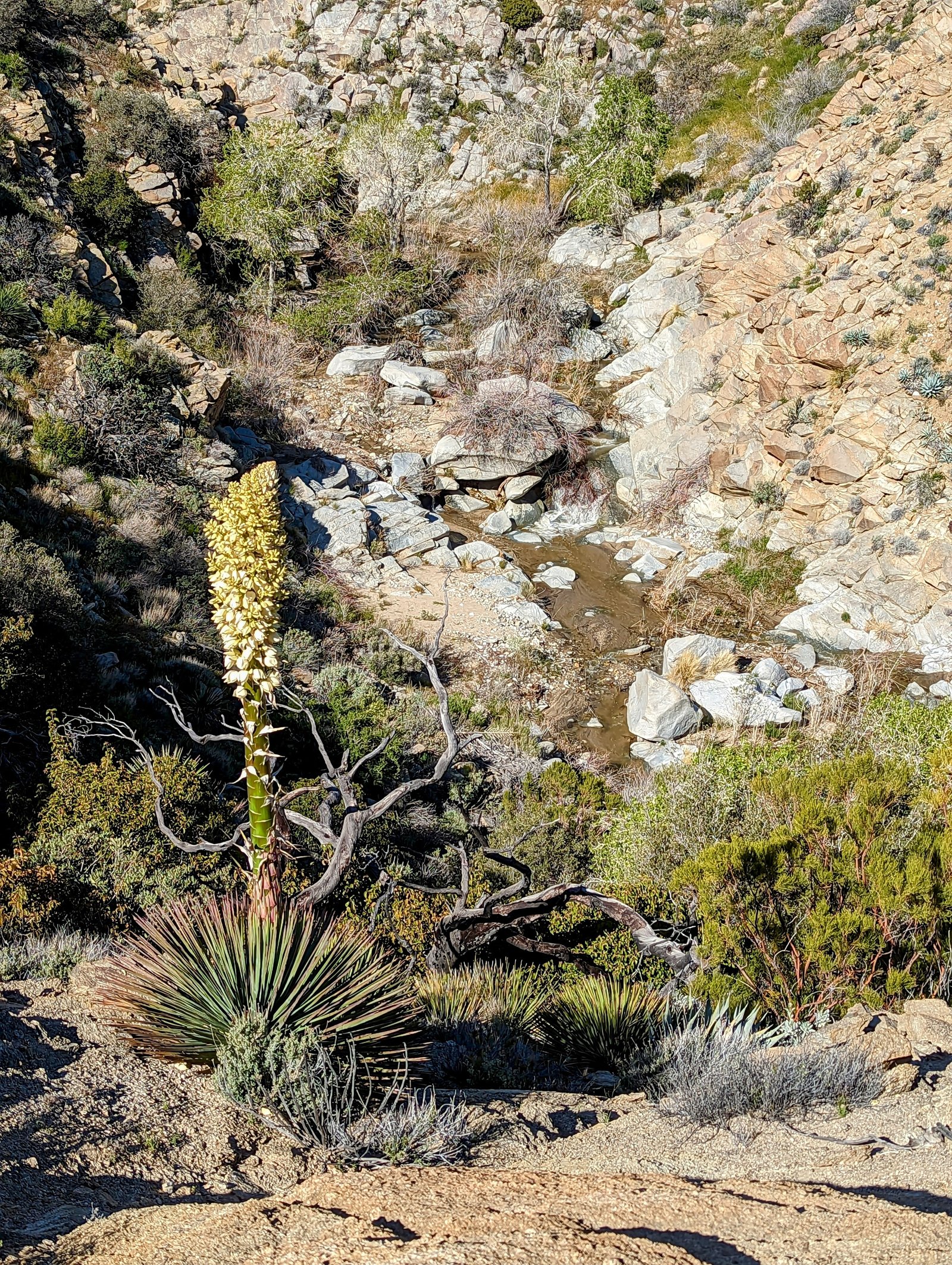 pxl_20230406_1628351202