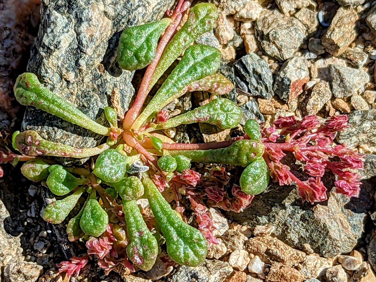 pxl_20230406_1641520832