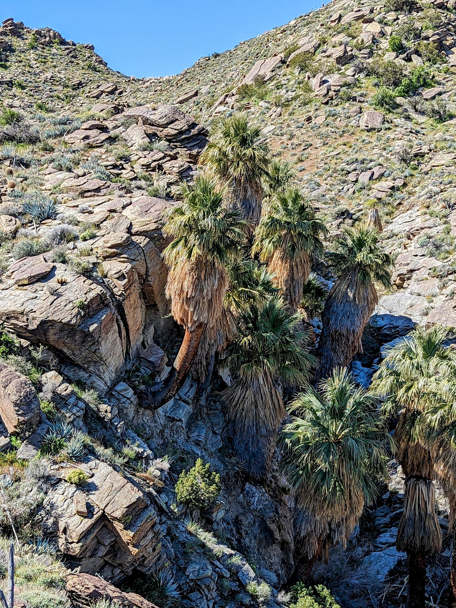 pxl_20230406_1708128052