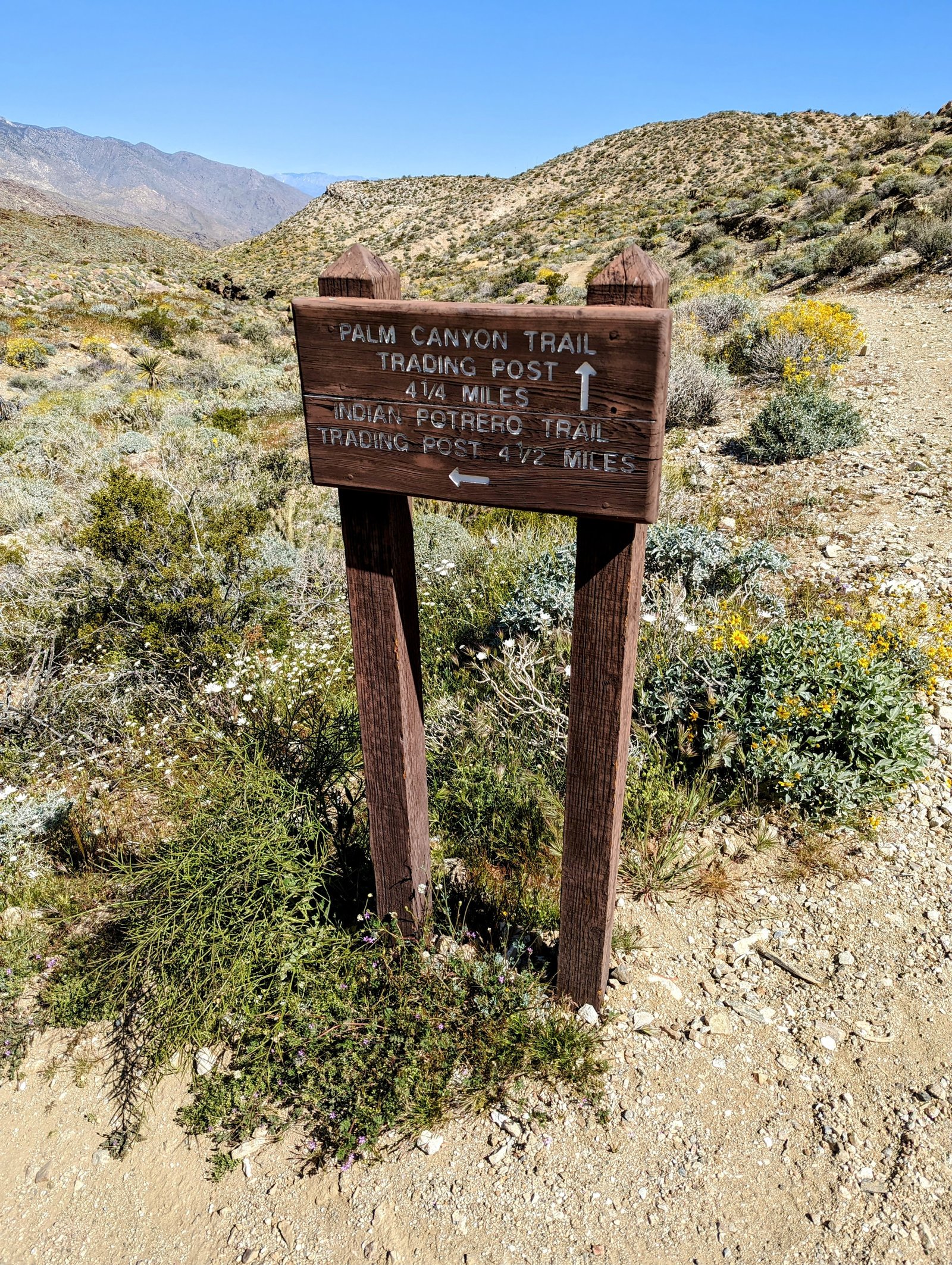 pxl_20230406_1729043852