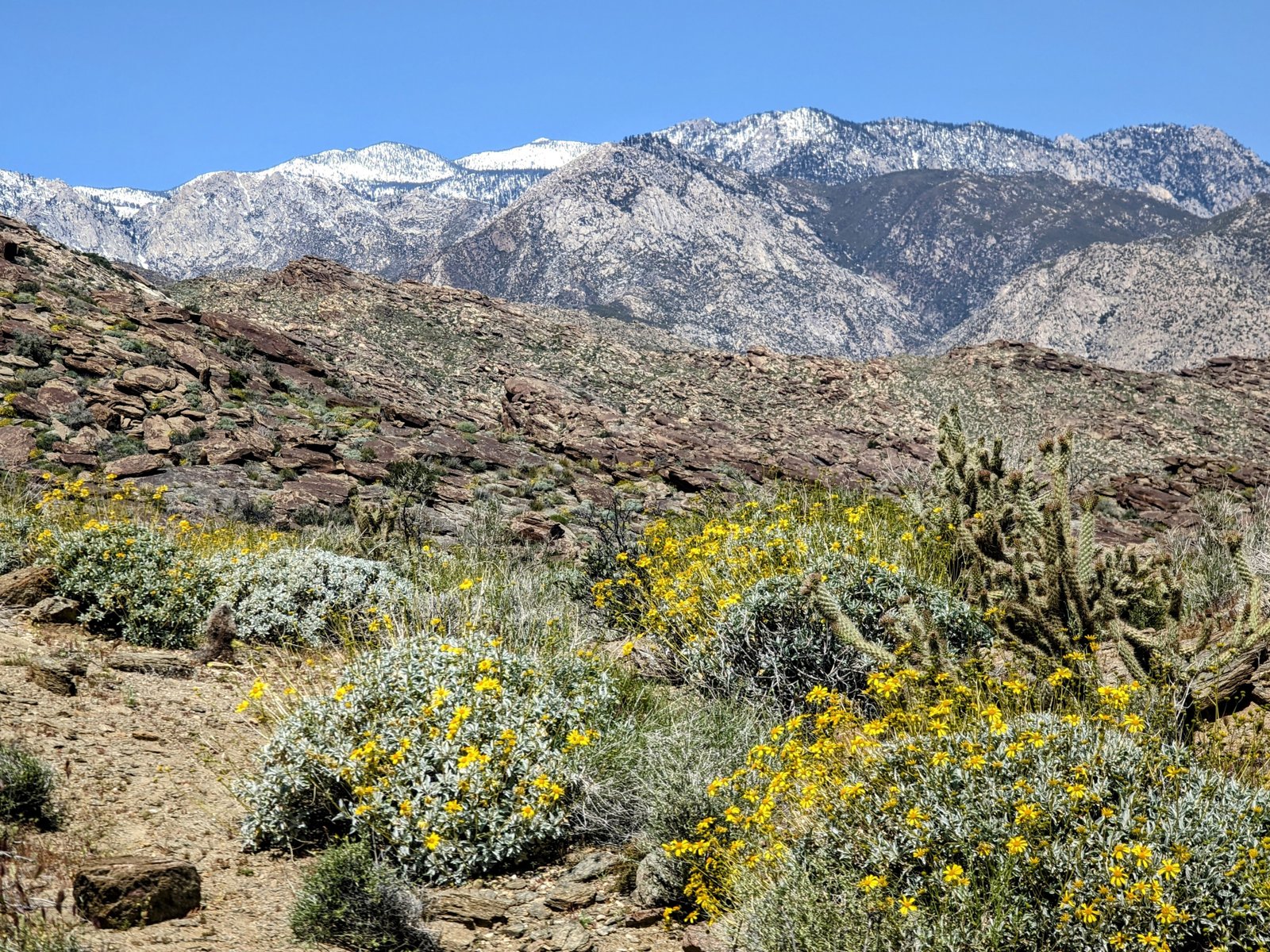pxl_20230406_1817269442