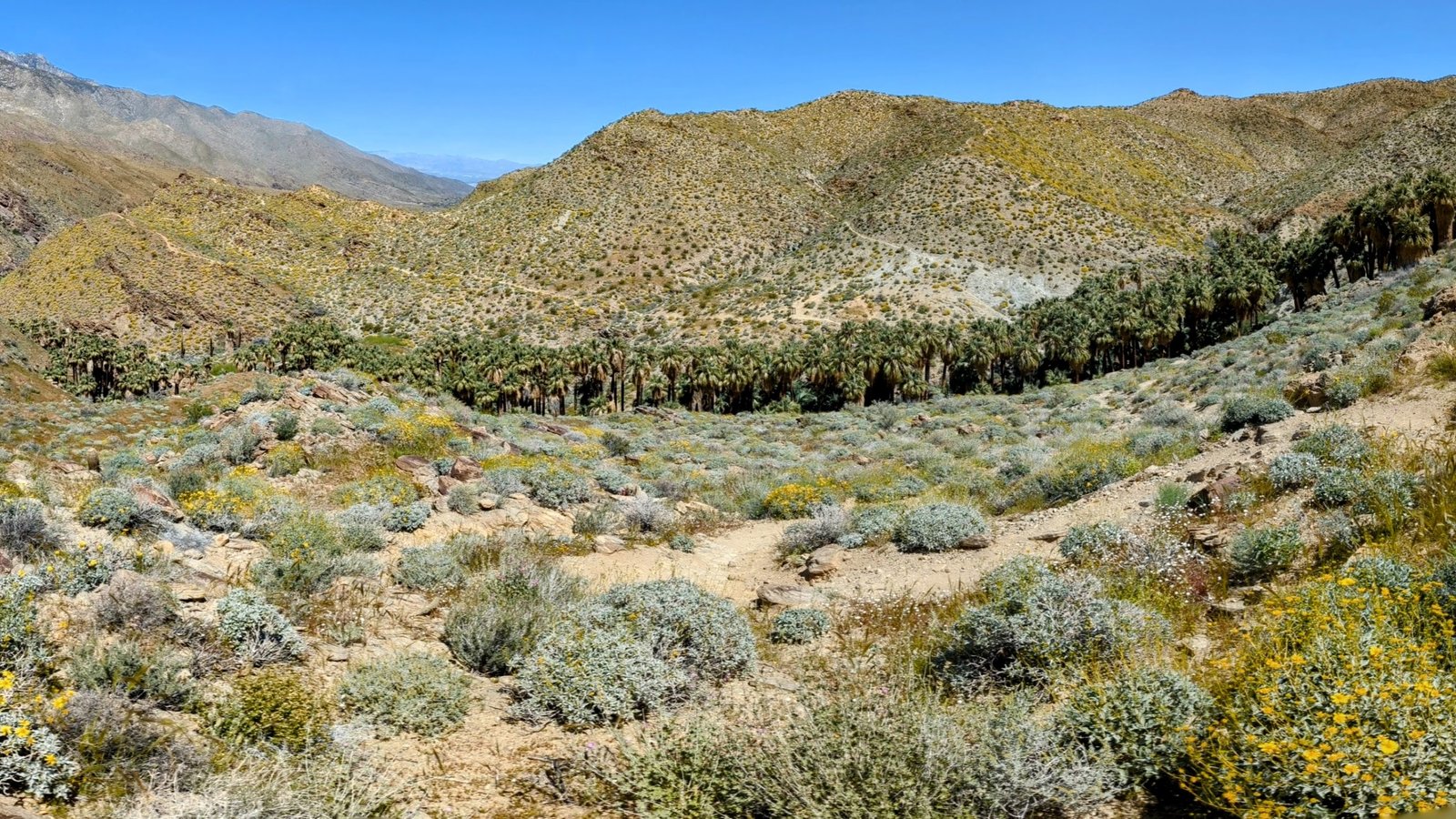 pxl_20230406_190604224.pano2_