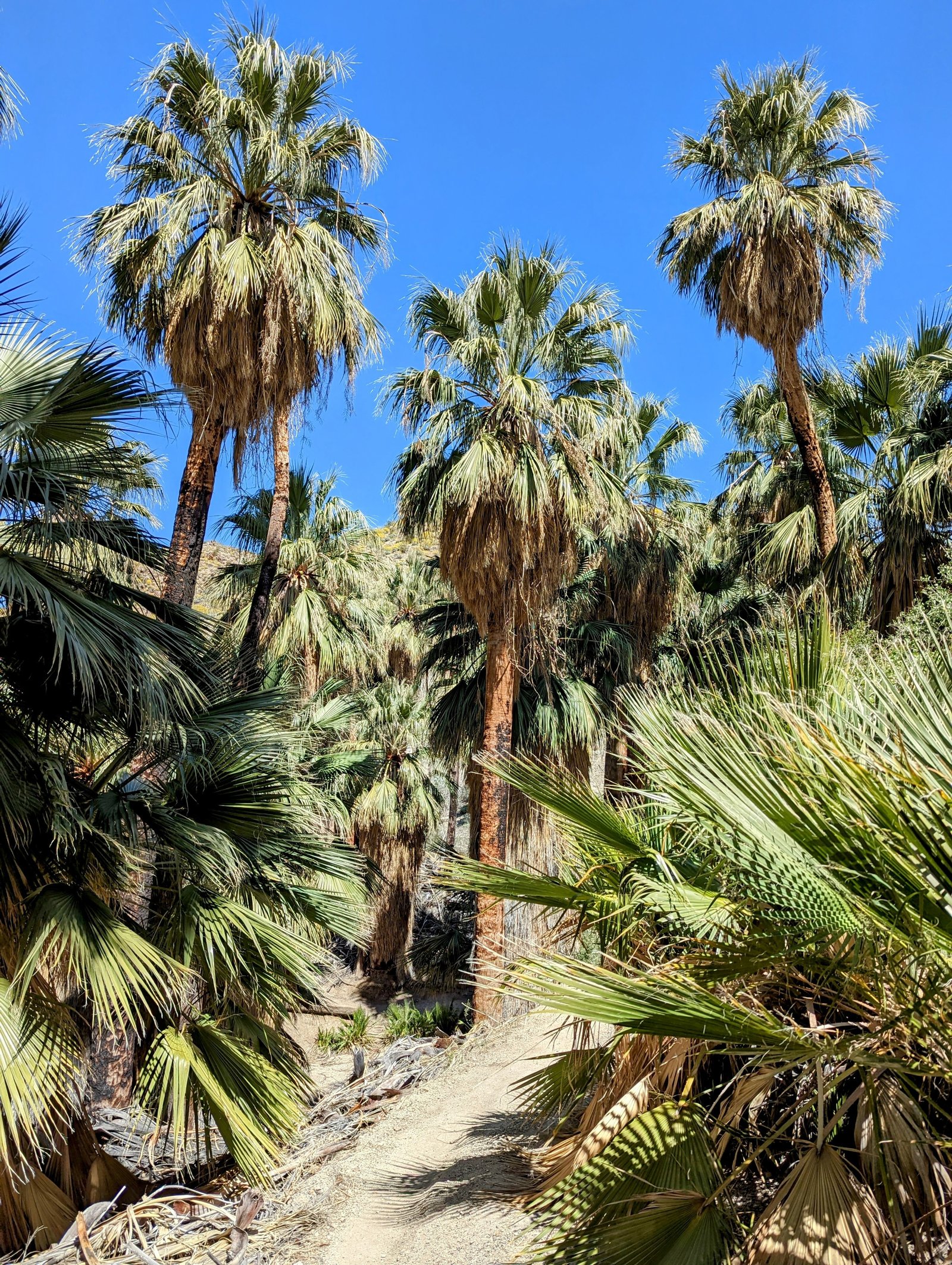 pxl_20230406_1909158352