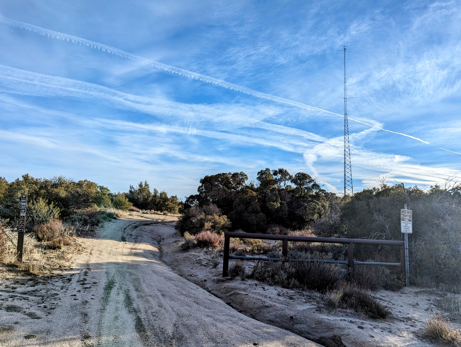 pxl_20240128_1549105352