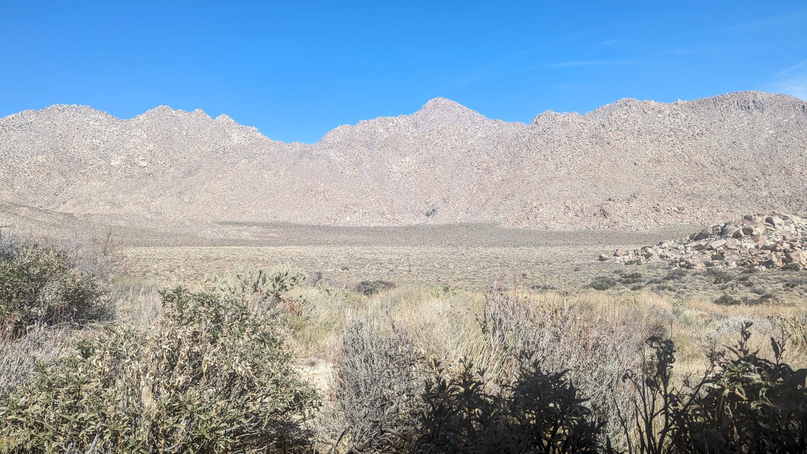 pxl_20240129_1911031052