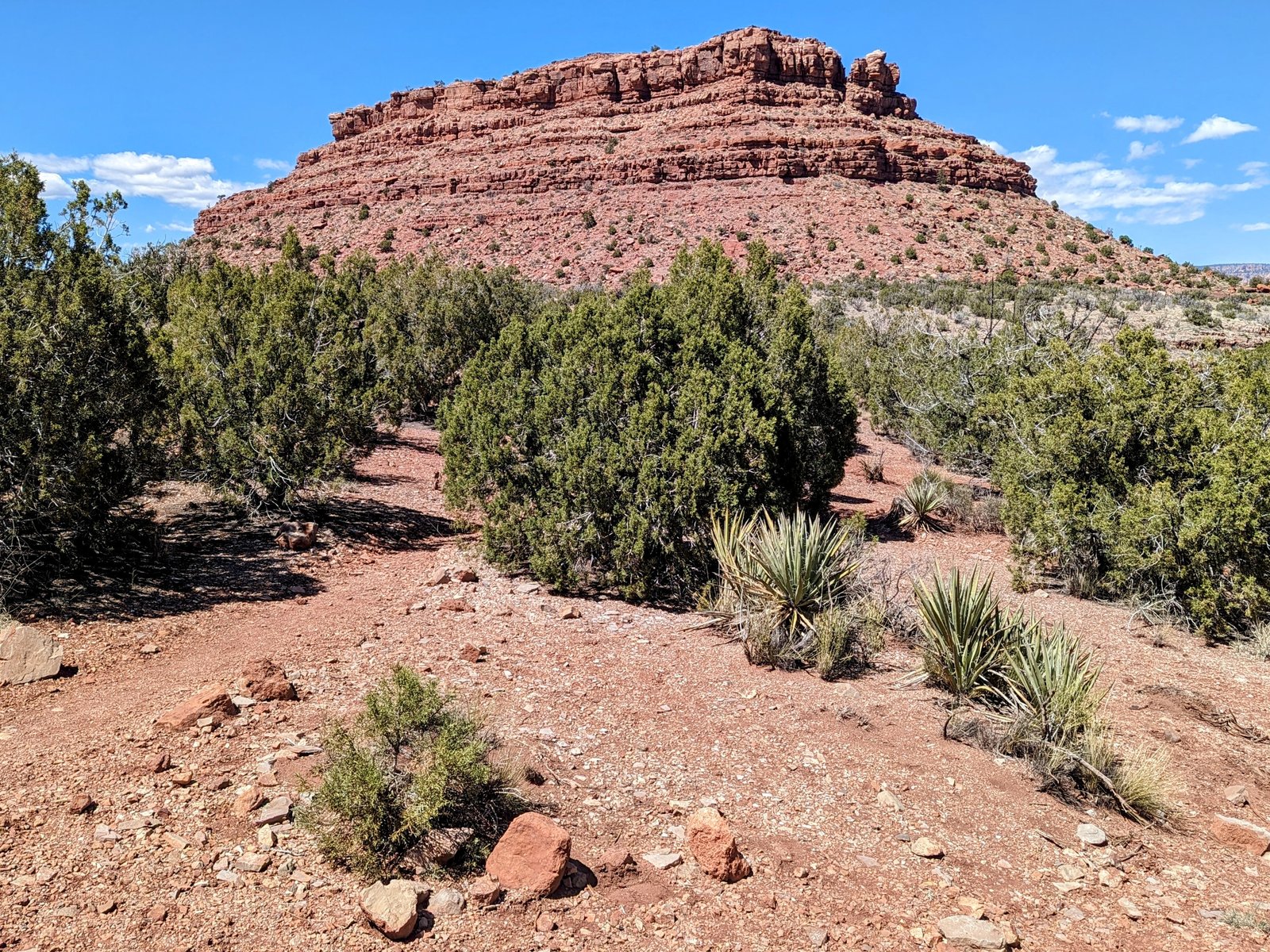 pxl_20240416_2102517552