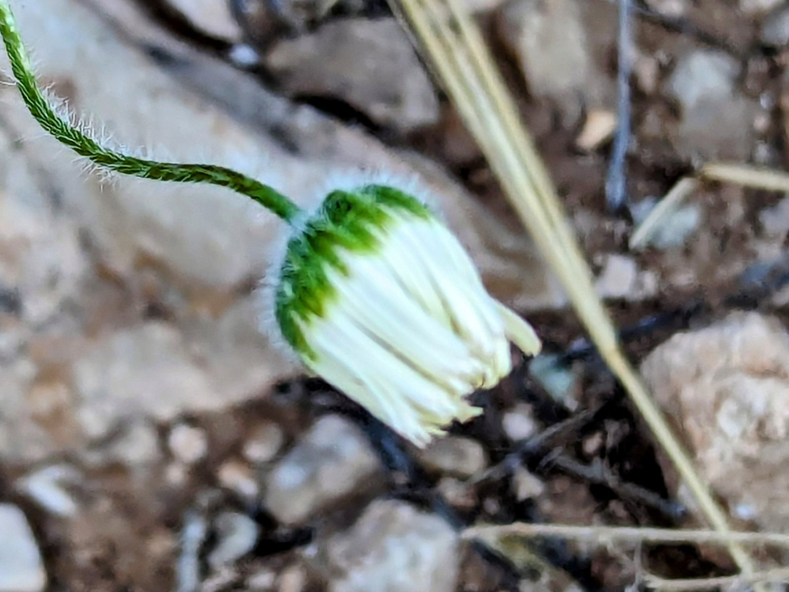 pxl_20240417_1407039972