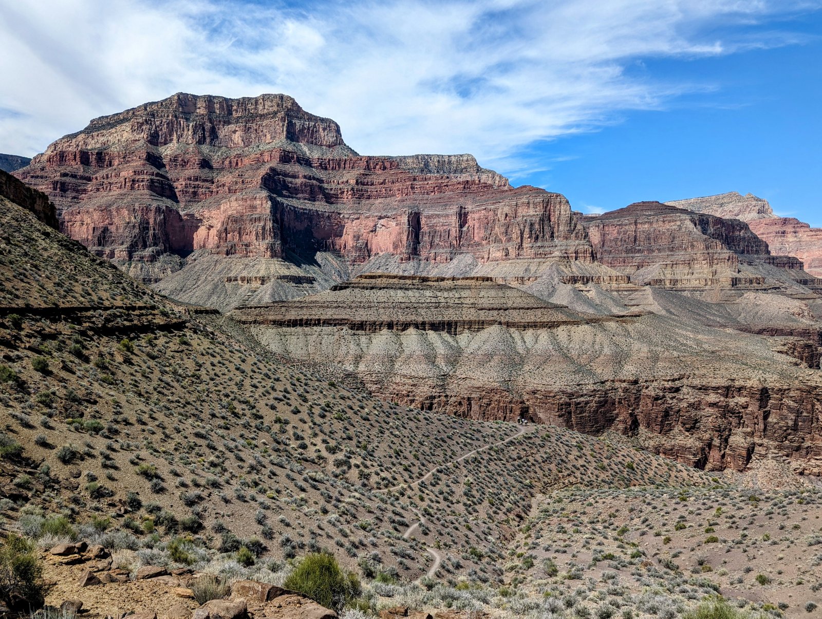 pxl_20240419_1746504902