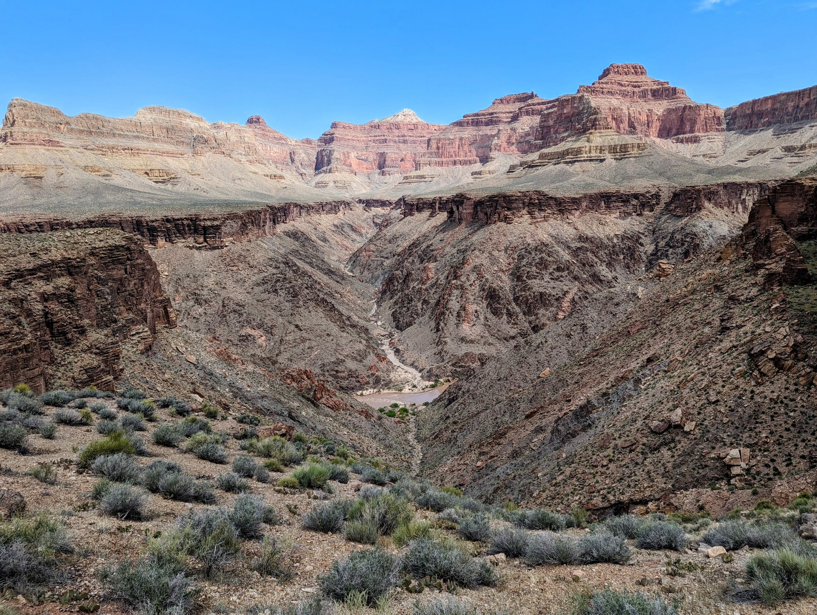 pxl_20240419_1802504932
